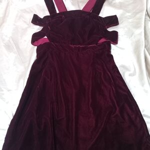 Forever 21 Burgundy Velvet Mini Dress